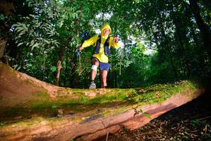 BIB: 
                            <button type="button" onclick="openModal(15914299)" class="btn btn-primary btn-sm float-right btn-popup" data-toggle="modal" data-target=".modal-high-quality">
                        <i class="fas fa-shopping-cart"></i> Add to Cart
                    </button>
                                            <button type="button" onclick="isThisMe(15914299, true)" class="btn btn-success btn-sm float-right btn-popup btn-isme hidden" data-toggle="tooltip" data-placement="bottom" title="นี่คือรูปของคุณใช่ไหม คลิกที่นี่เพื่อเอาเข้าอัลบั้ม">
                        <i class="fas fa-plus"></i> Add to album
                    </button>
                    <button type="button" onclick="isThisMe(15914299, false)" class="btn btn-warning btn-sm float-right btn-popup btn-isnotme hidden">
                        <i class="fas fa-ban"></i> Remove from album
                    </button>