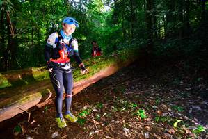 BIB: 
                            <button type="button" onclick="openModal(15914272)" class="btn btn-primary btn-sm float-right btn-popup" data-toggle="modal" data-target=".modal-high-quality">
                        <i class="fas fa-shopping-cart"></i> Add to Cart
                    </button>
                                            <button type="button" onclick="isThisMe(15914272, true)" class="btn btn-success btn-sm float-right btn-popup btn-isme hidden" data-toggle="tooltip" data-placement="bottom" title="นี่คือรูปของคุณใช่ไหม คลิกที่นี่เพื่อเอาเข้าอัลบั้ม">
                        <i class="fas fa-plus"></i> Add to album
                    </button>
                    <button type="button" onclick="isThisMe(15914272, false)" class="btn btn-warning btn-sm float-right btn-popup btn-isnotme hidden">
                        <i class="fas fa-ban"></i> Remove from album
                    </button>