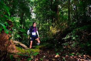 BIB: 3553
                            <button type="button" onclick="openModal(15914114)" class="btn btn-primary btn-sm float-right btn-popup" data-toggle="modal" data-target=".modal-high-quality">
                        <i class="fas fa-shopping-cart"></i> Add to Cart
                    </button>
                                            <button type="button" onclick="isThisMe(15914114, true)" class="btn btn-success btn-sm float-right btn-popup btn-isme hidden" data-toggle="tooltip" data-placement="bottom" title="นี่คือรูปของคุณใช่ไหม คลิกที่นี่เพื่อเอาเข้าอัลบั้ม">
                        <i class="fas fa-plus"></i> Add to album
                    </button>
                    <button type="button" onclick="isThisMe(15914114, false)" class="btn btn-warning btn-sm float-right btn-popup btn-isnotme hidden">
                        <i class="fas fa-ban"></i> Remove from album
                    </button>