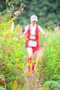 BIB: 
                            <button type="button" onclick="openModal(16044308)" class="btn btn-primary btn-sm float-right btn-popup" data-toggle="modal" data-target=".modal-high-quality">
                        <i class="fas fa-shopping-cart"></i> Add to Cart
                    </button>
                                            <button type="button" onclick="isThisMe(16044308, true)" class="btn btn-success btn-sm float-right btn-popup btn-isme hidden" data-toggle="tooltip" data-placement="bottom" title="นี่คือรูปของคุณใช่ไหม คลิกที่นี่เพื่อเอาเข้าอัลบั้ม">
                        <i class="fas fa-plus"></i> Add to album
                    </button>
                    <button type="button" onclick="isThisMe(16044308, false)" class="btn btn-warning btn-sm float-right btn-popup btn-isnotme hidden">
                        <i class="fas fa-ban"></i> Remove from album
                    </button>