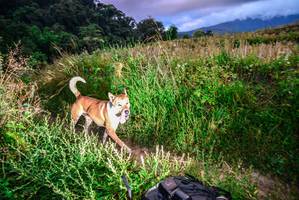 BIB: 
                            <button type="button" onclick="openModal(16050594)" class="btn btn-primary btn-sm float-right btn-popup" data-toggle="modal" data-target=".modal-high-quality">
                        <i class="fas fa-shopping-cart"></i> Add to Cart
                    </button>
                                            <button type="button" onclick="isThisMe(16050594, true)" class="btn btn-success btn-sm float-right btn-popup btn-isme hidden" data-toggle="tooltip" data-placement="bottom" title="นี่คือรูปของคุณใช่ไหม คลิกที่นี่เพื่อเอาเข้าอัลบั้ม">
                        <i class="fas fa-plus"></i> Add to album
                    </button>
                    <button type="button" onclick="isThisMe(16050594, false)" class="btn btn-warning btn-sm float-right btn-popup btn-isnotme hidden">
                        <i class="fas fa-ban"></i> Remove from album
                    </button>