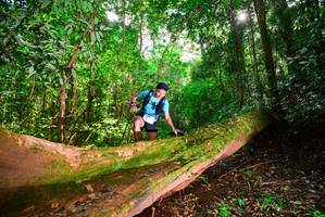 BIB: 3108
                            <button type="button" onclick="openModal(15914195)" class="btn btn-primary btn-sm float-right btn-popup" data-toggle="modal" data-target=".modal-high-quality">
                        <i class="fas fa-shopping-cart"></i> Add to Cart
                    </button>
                                            <button type="button" onclick="isThisMe(15914195, true)" class="btn btn-success btn-sm float-right btn-popup btn-isme hidden" data-toggle="tooltip" data-placement="bottom" title="นี่คือรูปของคุณใช่ไหม คลิกที่นี่เพื่อเอาเข้าอัลบั้ม">
                        <i class="fas fa-plus"></i> Add to album
                    </button>
                    <button type="button" onclick="isThisMe(15914195, false)" class="btn btn-warning btn-sm float-right btn-popup btn-isnotme hidden">
                        <i class="fas fa-ban"></i> Remove from album
                    </button>