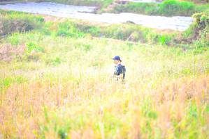 BIB: 
                            <button type="button" onclick="openModal(16046529)" class="btn btn-primary btn-sm float-right btn-popup" data-toggle="modal" data-target=".modal-high-quality">
                        <i class="fas fa-shopping-cart"></i> Add to Cart
                    </button>
                                            <button type="button" onclick="isThisMe(16046529, true)" class="btn btn-success btn-sm float-right btn-popup btn-isme hidden" data-toggle="tooltip" data-placement="bottom" title="นี่คือรูปของคุณใช่ไหม คลิกที่นี่เพื่อเอาเข้าอัลบั้ม">
                        <i class="fas fa-plus"></i> Add to album
                    </button>
                    <button type="button" onclick="isThisMe(16046529, false)" class="btn btn-warning btn-sm float-right btn-popup btn-isnotme hidden">
                        <i class="fas fa-ban"></i> Remove from album
                    </button>