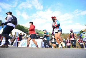 BIB: 8204, 010, 8018, 890, 088, 0044, 8050, 8063, 8038
                            <button type="button" onclick="openModal(15925373)" class="btn btn-primary btn-sm float-right btn-popup" data-toggle="modal" data-target=".modal-high-quality">
                        <i class="fas fa-shopping-cart"></i> Add to Cart
                    </button>
                                            <button type="button" onclick="isThisMe(15925373, true)" class="btn btn-success btn-sm float-right btn-popup btn-isme hidden" data-toggle="tooltip" data-placement="bottom" title="นี่คือรูปของคุณใช่ไหม คลิกที่นี่เพื่อเอาเข้าอัลบั้ม">
                        <i class="fas fa-plus"></i> Add to album
                    </button>
                    <button type="button" onclick="isThisMe(15925373, false)" class="btn btn-warning btn-sm float-right btn-popup btn-isnotme hidden">
                        <i class="fas fa-ban"></i> Remove from album
                    </button>