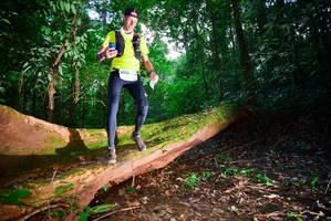 BIB: 3029
                            <button type="button" onclick="openModal(15914166)" class="btn btn-primary btn-sm float-right btn-popup" data-toggle="modal" data-target=".modal-high-quality">
                        <i class="fas fa-shopping-cart"></i> Add to Cart
                    </button>
                                            <button type="button" onclick="isThisMe(15914166, true)" class="btn btn-success btn-sm float-right btn-popup btn-isme hidden" data-toggle="tooltip" data-placement="bottom" title="นี่คือรูปของคุณใช่ไหม คลิกที่นี่เพื่อเอาเข้าอัลบั้ม">
                        <i class="fas fa-plus"></i> Add to album
                    </button>
                    <button type="button" onclick="isThisMe(15914166, false)" class="btn btn-warning btn-sm float-right btn-popup btn-isnotme hidden">
                        <i class="fas fa-ban"></i> Remove from album
                    </button>