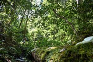 BIB: 5182
                            <button type="button" onclick="openModal(15926962)" class="btn btn-primary btn-sm float-right btn-popup" data-toggle="modal" data-target=".modal-high-quality">
                        <i class="fas fa-shopping-cart"></i> Add to Cart
                    </button>
                                            <button type="button" onclick="isThisMe(15926962, true)" class="btn btn-success btn-sm float-right btn-popup btn-isme hidden" data-toggle="tooltip" data-placement="bottom" title="นี่คือรูปของคุณใช่ไหม คลิกที่นี่เพื่อเอาเข้าอัลบั้ม">
                        <i class="fas fa-plus"></i> Add to album
                    </button>
                    <button type="button" onclick="isThisMe(15926962, false)" class="btn btn-warning btn-sm float-right btn-popup btn-isnotme hidden">
                        <i class="fas fa-ban"></i> Remove from album
                    </button>