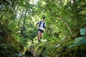 BIB: 624, 5150
                            <button type="button" onclick="openModal(15926136)" class="btn btn-primary btn-sm float-right btn-popup" data-toggle="modal" data-target=".modal-high-quality">
                        <i class="fas fa-shopping-cart"></i> Add to Cart
                    </button>
                                            <button type="button" onclick="isThisMe(15926136, true)" class="btn btn-success btn-sm float-right btn-popup btn-isme hidden" data-toggle="tooltip" data-placement="bottom" title="นี่คือรูปของคุณใช่ไหม คลิกที่นี่เพื่อเอาเข้าอัลบั้ม">
                        <i class="fas fa-plus"></i> Add to album
                    </button>
                    <button type="button" onclick="isThisMe(15926136, false)" class="btn btn-warning btn-sm float-right btn-popup btn-isnotme hidden">
                        <i class="fas fa-ban"></i> Remove from album
                    </button>