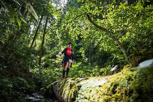 BIB: 5191
                            <button type="button" onclick="openModal(15927065)" class="btn btn-primary btn-sm float-right btn-popup" data-toggle="modal" data-target=".modal-high-quality">
                        <i class="fas fa-shopping-cart"></i> Add to Cart
                    </button>
                                            <button type="button" onclick="isThisMe(15927065, true)" class="btn btn-success btn-sm float-right btn-popup btn-isme hidden" data-toggle="tooltip" data-placement="bottom" title="นี่คือรูปของคุณใช่ไหม คลิกที่นี่เพื่อเอาเข้าอัลบั้ม">
                        <i class="fas fa-plus"></i> Add to album
                    </button>
                    <button type="button" onclick="isThisMe(15927065, false)" class="btn btn-warning btn-sm float-right btn-popup btn-isnotme hidden">
                        <i class="fas fa-ban"></i> Remove from album
                    </button>