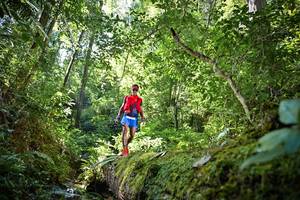 BIB: 
                            <button type="button" onclick="openModal(15926145)" class="btn btn-primary btn-sm float-right btn-popup" data-toggle="modal" data-target=".modal-high-quality">
                        <i class="fas fa-shopping-cart"></i> Add to Cart
                    </button>
                                            <button type="button" onclick="isThisMe(15926145, true)" class="btn btn-success btn-sm float-right btn-popup btn-isme hidden" data-toggle="tooltip" data-placement="bottom" title="นี่คือรูปของคุณใช่ไหม คลิกที่นี่เพื่อเอาเข้าอัลบั้ม">
                        <i class="fas fa-plus"></i> Add to album
                    </button>
                    <button type="button" onclick="isThisMe(15926145, false)" class="btn btn-warning btn-sm float-right btn-popup btn-isnotme hidden">
                        <i class="fas fa-ban"></i> Remove from album
                    </button>