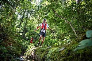 BIB: 5119, 5097
                            <button type="button" onclick="openModal(15926420)" class="btn btn-primary btn-sm float-right btn-popup" data-toggle="modal" data-target=".modal-high-quality">
                        <i class="fas fa-shopping-cart"></i> Add to Cart
                    </button>
                                            <button type="button" onclick="isThisMe(15926420, true)" class="btn btn-success btn-sm float-right btn-popup btn-isme hidden" data-toggle="tooltip" data-placement="bottom" title="นี่คือรูปของคุณใช่ไหม คลิกที่นี่เพื่อเอาเข้าอัลบั้ม">
                        <i class="fas fa-plus"></i> Add to album
                    </button>
                    <button type="button" onclick="isThisMe(15926420, false)" class="btn btn-warning btn-sm float-right btn-popup btn-isnotme hidden">
                        <i class="fas fa-ban"></i> Remove from album
                    </button>