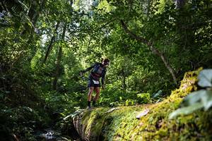 BIB: 5175, 
                            <button type="button" onclick="openModal(15926641)" class="btn btn-primary btn-sm float-right btn-popup" data-toggle="modal" data-target=".modal-high-quality">
                        <i class="fas fa-shopping-cart"></i> Add to Cart
                    </button>
                                            <button type="button" onclick="isThisMe(15926641, true)" class="btn btn-success btn-sm float-right btn-popup btn-isme hidden" data-toggle="tooltip" data-placement="bottom" title="นี่คือรูปของคุณใช่ไหม คลิกที่นี่เพื่อเอาเข้าอัลบั้ม">
                        <i class="fas fa-plus"></i> Add to album
                    </button>
                    <button type="button" onclick="isThisMe(15926641, false)" class="btn btn-warning btn-sm float-right btn-popup btn-isnotme hidden">
                        <i class="fas fa-ban"></i> Remove from album
                    </button>