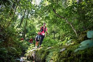 BIB: 5046, 186
                            <button type="button" onclick="openModal(15926478)" class="btn btn-primary btn-sm float-right btn-popup" data-toggle="modal" data-target=".modal-high-quality">
                        <i class="fas fa-shopping-cart"></i> Add to Cart
                    </button>
                                            <button type="button" onclick="isThisMe(15926478, true)" class="btn btn-success btn-sm float-right btn-popup btn-isme hidden" data-toggle="tooltip" data-placement="bottom" title="นี่คือรูปของคุณใช่ไหม คลิกที่นี่เพื่อเอาเข้าอัลบั้ม">
                        <i class="fas fa-plus"></i> Add to album
                    </button>
                    <button type="button" onclick="isThisMe(15926478, false)" class="btn btn-warning btn-sm float-right btn-popup btn-isnotme hidden">
                        <i class="fas fa-ban"></i> Remove from album
                    </button>