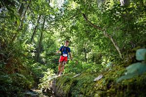 BIB: 5181
                            <button type="button" onclick="openModal(15926333)" class="btn btn-primary btn-sm float-right btn-popup" data-toggle="modal" data-target=".modal-high-quality">
                        <i class="fas fa-shopping-cart"></i> Add to Cart
                    </button>
                                            <button type="button" onclick="isThisMe(15926333, true)" class="btn btn-success btn-sm float-right btn-popup btn-isme hidden" data-toggle="tooltip" data-placement="bottom" title="นี่คือรูปของคุณใช่ไหม คลิกที่นี่เพื่อเอาเข้าอัลบั้ม">
                        <i class="fas fa-plus"></i> Add to album
                    </button>
                    <button type="button" onclick="isThisMe(15926333, false)" class="btn btn-warning btn-sm float-right btn-popup btn-isnotme hidden">
                        <i class="fas fa-ban"></i> Remove from album
                    </button>