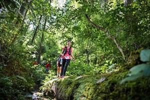 BIB: 5046, 186, 
                            <button type="button" onclick="openModal(15926477)" class="btn btn-primary btn-sm float-right btn-popup" data-toggle="modal" data-target=".modal-high-quality">
                        <i class="fas fa-shopping-cart"></i> Add to Cart
                    </button>
                                            <button type="button" onclick="isThisMe(15926477, true)" class="btn btn-success btn-sm float-right btn-popup btn-isme hidden" data-toggle="tooltip" data-placement="bottom" title="นี่คือรูปของคุณใช่ไหม คลิกที่นี่เพื่อเอาเข้าอัลบั้ม">
                        <i class="fas fa-plus"></i> Add to album
                    </button>
                    <button type="button" onclick="isThisMe(15926477, false)" class="btn btn-warning btn-sm float-right btn-popup btn-isnotme hidden">
                        <i class="fas fa-ban"></i> Remove from album
                    </button>