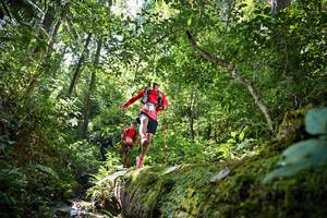 BIB: 5229, 5225
                            <button type="button" onclick="openModal(15926516)" class="btn btn-primary btn-sm float-right btn-popup" data-toggle="modal" data-target=".modal-high-quality">
                        <i class="fas fa-shopping-cart"></i> Add to Cart
                    </button>
                                            <button type="button" onclick="isThisMe(15926516, true)" class="btn btn-success btn-sm float-right btn-popup btn-isme hidden" data-toggle="tooltip" data-placement="bottom" title="นี่คือรูปของคุณใช่ไหม คลิกที่นี่เพื่อเอาเข้าอัลบั้ม">
                        <i class="fas fa-plus"></i> Add to album
                    </button>
                    <button type="button" onclick="isThisMe(15926516, false)" class="btn btn-warning btn-sm float-right btn-popup btn-isnotme hidden">
                        <i class="fas fa-ban"></i> Remove from album
                    </button>