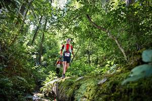 BIB: 5131, 5089
                            <button type="button" onclick="openModal(15926439)" class="btn btn-primary btn-sm float-right btn-popup" data-toggle="modal" data-target=".modal-high-quality">
                        <i class="fas fa-shopping-cart"></i> Add to Cart
                    </button>
                                            <button type="button" onclick="isThisMe(15926439, true)" class="btn btn-success btn-sm float-right btn-popup btn-isme hidden" data-toggle="tooltip" data-placement="bottom" title="นี่คือรูปของคุณใช่ไหม คลิกที่นี่เพื่อเอาเข้าอัลบั้ม">
                        <i class="fas fa-plus"></i> Add to album
                    </button>
                    <button type="button" onclick="isThisMe(15926439, false)" class="btn btn-warning btn-sm float-right btn-popup btn-isnotme hidden">
                        <i class="fas fa-ban"></i> Remove from album
                    </button>