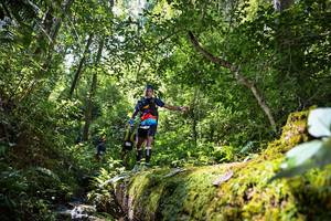 BIB: 108
                            <button type="button" onclick="openModal(15926601)" class="btn btn-primary btn-sm float-right btn-popup" data-toggle="modal" data-target=".modal-high-quality">
                        <i class="fas fa-shopping-cart"></i> Add to Cart
                    </button>
                                            <button type="button" onclick="isThisMe(15926601, true)" class="btn btn-success btn-sm float-right btn-popup btn-isme hidden" data-toggle="tooltip" data-placement="bottom" title="นี่คือรูปของคุณใช่ไหม คลิกที่นี่เพื่อเอาเข้าอัลบั้ม">
                        <i class="fas fa-plus"></i> Add to album
                    </button>
                    <button type="button" onclick="isThisMe(15926601, false)" class="btn btn-warning btn-sm float-right btn-popup btn-isnotme hidden">
                        <i class="fas fa-ban"></i> Remove from album
                    </button>