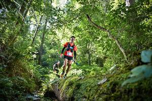 BIB: 5206, 053
                            <button type="button" onclick="openModal(15926116)" class="btn btn-primary btn-sm float-right btn-popup" data-toggle="modal" data-target=".modal-high-quality">
                        <i class="fas fa-shopping-cart"></i> Add to Cart
                    </button>
                                            <button type="button" onclick="isThisMe(15926116, true)" class="btn btn-success btn-sm float-right btn-popup btn-isme hidden" data-toggle="tooltip" data-placement="bottom" title="นี่คือรูปของคุณใช่ไหม คลิกที่นี่เพื่อเอาเข้าอัลบั้ม">
                        <i class="fas fa-plus"></i> Add to album
                    </button>
                    <button type="button" onclick="isThisMe(15926116, false)" class="btn btn-warning btn-sm float-right btn-popup btn-isnotme hidden">
                        <i class="fas fa-ban"></i> Remove from album
                    </button>