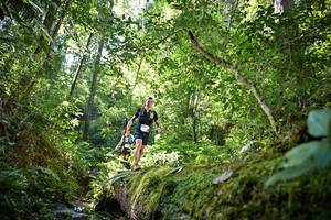 BIB: 5053, 5174
                            <button type="button" onclick="openModal(15926120)" class="btn btn-primary btn-sm float-right btn-popup" data-toggle="modal" data-target=".modal-high-quality">
                        <i class="fas fa-shopping-cart"></i> Add to Cart
                    </button>
                                            <button type="button" onclick="isThisMe(15926120, true)" class="btn btn-success btn-sm float-right btn-popup btn-isme hidden" data-toggle="tooltip" data-placement="bottom" title="นี่คือรูปของคุณใช่ไหม คลิกที่นี่เพื่อเอาเข้าอัลบั้ม">
                        <i class="fas fa-plus"></i> Add to album
                    </button>
                    <button type="button" onclick="isThisMe(15926120, false)" class="btn btn-warning btn-sm float-right btn-popup btn-isnotme hidden">
                        <i class="fas fa-ban"></i> Remove from album
                    </button>