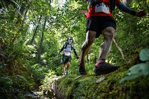 BIB: 5093, 5128
                            <button type="button" onclick="openModal(15926395)" class="btn btn-primary btn-sm float-right btn-popup" data-toggle="modal" data-target=".modal-high-quality">
                        <i class="fas fa-shopping-cart"></i> Add to Cart
                    </button>
                                            <button type="button" onclick="isThisMe(15926395, true)" class="btn btn-success btn-sm float-right btn-popup btn-isme hidden" data-toggle="tooltip" data-placement="bottom" title="นี่คือรูปของคุณใช่ไหม คลิกที่นี่เพื่อเอาเข้าอัลบั้ม">
                        <i class="fas fa-plus"></i> Add to album
                    </button>
                    <button type="button" onclick="isThisMe(15926395, false)" class="btn btn-warning btn-sm float-right btn-popup btn-isnotme hidden">
                        <i class="fas fa-ban"></i> Remove from album
                    </button>