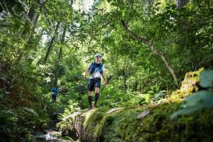 BIB: , 5134
                            <button type="button" onclick="openModal(15926566)" class="btn btn-primary btn-sm float-right btn-popup" data-toggle="modal" data-target=".modal-high-quality">
                        <i class="fas fa-shopping-cart"></i> Add to Cart
                    </button>
                                            <button type="button" onclick="isThisMe(15926566, true)" class="btn btn-success btn-sm float-right btn-popup btn-isme hidden" data-toggle="tooltip" data-placement="bottom" title="นี่คือรูปของคุณใช่ไหม คลิกที่นี่เพื่อเอาเข้าอัลบั้ม">
                        <i class="fas fa-plus"></i> Add to album
                    </button>
                    <button type="button" onclick="isThisMe(15926566, false)" class="btn btn-warning btn-sm float-right btn-popup btn-isnotme hidden">
                        <i class="fas fa-ban"></i> Remove from album
                    </button>