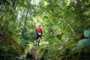 BIB: 5079, 
                            <button type="button" onclick="openModal(15926154)" class="btn btn-primary btn-sm float-right btn-popup" data-toggle="modal" data-target=".modal-high-quality">
                        <i class="fas fa-shopping-cart"></i> Add to Cart
                    </button>
                                            <button type="button" onclick="isThisMe(15926154, true)" class="btn btn-success btn-sm float-right btn-popup btn-isme hidden" data-toggle="tooltip" data-placement="bottom" title="นี่คือรูปของคุณใช่ไหม คลิกที่นี่เพื่อเอาเข้าอัลบั้ม">
                        <i class="fas fa-plus"></i> Add to album
                    </button>
                    <button type="button" onclick="isThisMe(15926154, false)" class="btn btn-warning btn-sm float-right btn-popup btn-isnotme hidden">
                        <i class="fas fa-ban"></i> Remove from album
                    </button>