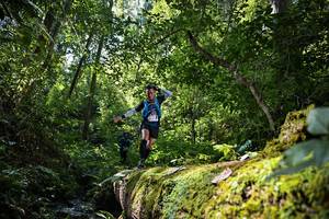 BIB: 161
                            <button type="button" onclick="openModal(15926730)" class="btn btn-primary btn-sm float-right btn-popup" data-toggle="modal" data-target=".modal-high-quality">
                        <i class="fas fa-shopping-cart"></i> Add to Cart
                    </button>
                                            <button type="button" onclick="isThisMe(15926730, true)" class="btn btn-success btn-sm float-right btn-popup btn-isme hidden" data-toggle="tooltip" data-placement="bottom" title="นี่คือรูปของคุณใช่ไหม คลิกที่นี่เพื่อเอาเข้าอัลบั้ม">
                        <i class="fas fa-plus"></i> Add to album
                    </button>
                    <button type="button" onclick="isThisMe(15926730, false)" class="btn btn-warning btn-sm float-right btn-popup btn-isnotme hidden">
                        <i class="fas fa-ban"></i> Remove from album
                    </button>