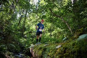 BIB: , 5167
                            <button type="button" onclick="openModal(15926895)" class="btn btn-primary btn-sm float-right btn-popup" data-toggle="modal" data-target=".modal-high-quality">
                        <i class="fas fa-shopping-cart"></i> Add to Cart
                    </button>
                                            <button type="button" onclick="isThisMe(15926895, true)" class="btn btn-success btn-sm float-right btn-popup btn-isme hidden" data-toggle="tooltip" data-placement="bottom" title="นี่คือรูปของคุณใช่ไหม คลิกที่นี่เพื่อเอาเข้าอัลบั้ม">
                        <i class="fas fa-plus"></i> Add to album
                    </button>
                    <button type="button" onclick="isThisMe(15926895, false)" class="btn btn-warning btn-sm float-right btn-popup btn-isnotme hidden">
                        <i class="fas fa-ban"></i> Remove from album
                    </button>