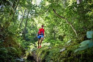 BIB: 
                            <button type="button" onclick="openModal(15926148)" class="btn btn-primary btn-sm float-right btn-popup" data-toggle="modal" data-target=".modal-high-quality">
                        <i class="fas fa-shopping-cart"></i> Add to Cart
                    </button>
                                            <button type="button" onclick="isThisMe(15926148, true)" class="btn btn-success btn-sm float-right btn-popup btn-isme hidden" data-toggle="tooltip" data-placement="bottom" title="นี่คือรูปของคุณใช่ไหม คลิกที่นี่เพื่อเอาเข้าอัลบั้ม">
                        <i class="fas fa-plus"></i> Add to album
                    </button>
                    <button type="button" onclick="isThisMe(15926148, false)" class="btn btn-warning btn-sm float-right btn-popup btn-isnotme hidden">
                        <i class="fas fa-ban"></i> Remove from album
                    </button>