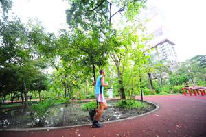 BIB: 
                            <button type="button" onclick="openModal(15884505)" class="btn btn-primary btn-sm float-right btn-popup" data-toggle="modal" data-target=".modal-high-quality">
                        <i class="fas fa-shopping-cart"></i> Add to Cart
                    </button>
                                            <button type="button" onclick="isThisMe(15884505, true)" class="btn btn-success btn-sm float-right btn-popup btn-isme hidden" data-toggle="tooltip" data-placement="bottom" title="นี่คือรูปของคุณใช่ไหม คลิกที่นี่เพื่อเอาเข้าอัลบั้ม">
                        <i class="fas fa-plus"></i> Add to album
                    </button>
                    <button type="button" onclick="isThisMe(15884505, false)" class="btn btn-warning btn-sm float-right btn-popup btn-isnotme hidden">
                        <i class="fas fa-ban"></i> Remove from album
                    </button>