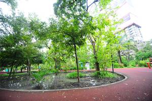 BIB: 
                            <button type="button" onclick="openModal(15884506)" class="btn btn-primary btn-sm float-right btn-popup" data-toggle="modal" data-target=".modal-high-quality">
                        <i class="fas fa-shopping-cart"></i> Add to Cart
                    </button>
                                            <button type="button" onclick="isThisMe(15884506, true)" class="btn btn-success btn-sm float-right btn-popup btn-isme hidden" data-toggle="tooltip" data-placement="bottom" title="นี่คือรูปของคุณใช่ไหม คลิกที่นี่เพื่อเอาเข้าอัลบั้ม">
                        <i class="fas fa-plus"></i> Add to album
                    </button>
                    <button type="button" onclick="isThisMe(15884506, false)" class="btn btn-warning btn-sm float-right btn-popup btn-isnotme hidden">
                        <i class="fas fa-ban"></i> Remove from album
                    </button>