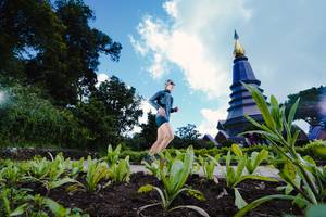 BIB: 
                            <button type="button" onclick="openModal(15889346)" class="btn btn-primary btn-sm float-right btn-popup" data-toggle="modal" data-target=".modal-high-quality">
                        <i class="fas fa-shopping-cart"></i> Add to Cart
                    </button>
                                            <button type="button" onclick="isThisMe(15889346, true)" class="btn btn-success btn-sm float-right btn-popup btn-isme hidden" data-toggle="tooltip" data-placement="bottom" title="นี่คือรูปของคุณใช่ไหม คลิกที่นี่เพื่อเอาเข้าอัลบั้ม">
                        <i class="fas fa-plus"></i> Add to album
                    </button>
                    <button type="button" onclick="isThisMe(15889346, false)" class="btn btn-warning btn-sm float-right btn-popup btn-isnotme hidden">
                        <i class="fas fa-ban"></i> Remove from album
                    </button>