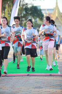 BIB: 6874, 6381, 7909
                            <button type="button" onclick="openModal(6453582)" class="btn btn-primary btn-sm float-right btn-popup" data-toggle="modal" data-target=".modal-high-quality">
                        <i class="fas fa-shopping-cart"></i> Add to Cart
                    </button>
                                            <button type="button" onclick="isThisMe(6453582, true)" class="btn btn-success btn-sm float-right btn-popup btn-isme hidden" data-toggle="tooltip" data-placement="bottom" title="นี่คือรูปของคุณใช่ไหม คลิกที่นี่เพื่อเอาเข้าอัลบั้ม">
                        <i class="fas fa-plus"></i> Add to album
                    </button>
                    <button type="button" onclick="isThisMe(6453582, false)" class="btn btn-warning btn-sm float-right btn-popup btn-isnotme hidden">
                        <i class="fas fa-ban"></i> Remove from album
                    </button>