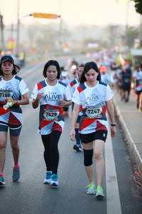 BIB: 7188, 7247, 7429
                            <button type="button" onclick="openModal(6395132)" class="btn btn-primary btn-sm float-right btn-popup" data-toggle="modal" data-target=".modal-high-quality">
                        <i class="fas fa-shopping-cart"></i> Add to Cart
                    </button>
                                            <button type="button" onclick="isThisMe(6395132, true)" class="btn btn-success btn-sm float-right btn-popup btn-isme hidden" data-toggle="tooltip" data-placement="bottom" title="นี่คือรูปของคุณใช่ไหม คลิกที่นี่เพื่อเอาเข้าอัลบั้ม">
                        <i class="fas fa-plus"></i> Add to album
                    </button>
                    <button type="button" onclick="isThisMe(6395132, false)" class="btn btn-warning btn-sm float-right btn-popup btn-isnotme hidden">
                        <i class="fas fa-ban"></i> Remove from album
                    </button>