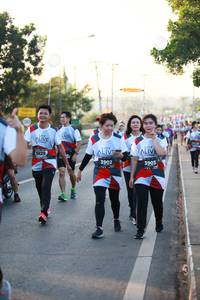 BIB: 6829, 3902, 3903
                            <button type="button" onclick="openModal(6400929)" class="btn btn-primary btn-sm float-right btn-popup" data-toggle="modal" data-target=".modal-high-quality">
                        <i class="fas fa-shopping-cart"></i> Add to Cart
                    </button>
                                            <button type="button" onclick="isThisMe(6400929, true)" class="btn btn-success btn-sm float-right btn-popup btn-isme hidden" data-toggle="tooltip" data-placement="bottom" title="นี่คือรูปของคุณใช่ไหม คลิกที่นี่เพื่อเอาเข้าอัลบั้ม">
                        <i class="fas fa-plus"></i> Add to album
                    </button>
                    <button type="button" onclick="isThisMe(6400929, false)" class="btn btn-warning btn-sm float-right btn-popup btn-isnotme hidden">
                        <i class="fas fa-ban"></i> Remove from album
                    </button>