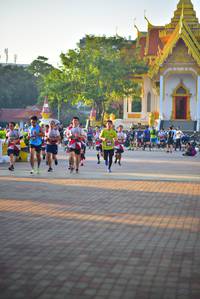 BIB: 
                            <button type="button" onclick="openModal(6513316)" class="btn btn-primary btn-sm float-right btn-popup" data-toggle="modal" data-target=".modal-high-quality">
                        <i class="fas fa-shopping-cart"></i> Add to Cart
                    </button>
                                            <button type="button" onclick="isThisMe(6513316, true)" class="btn btn-success btn-sm float-right btn-popup btn-isme hidden" data-toggle="tooltip" data-placement="bottom" title="นี่คือรูปของคุณใช่ไหม คลิกที่นี่เพื่อเอาเข้าอัลบั้ม">
                        <i class="fas fa-plus"></i> Add to album
                    </button>
                    <button type="button" onclick="isThisMe(6513316, false)" class="btn btn-warning btn-sm float-right btn-popup btn-isnotme hidden">
                        <i class="fas fa-ban"></i> Remove from album
                    </button>