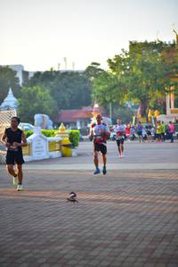 BIB: 2531
                            <button type="button" onclick="openModal(6512951)" class="btn btn-primary btn-sm float-right btn-popup" data-toggle="modal" data-target=".modal-high-quality">
                        <i class="fas fa-shopping-cart"></i> Add to Cart
                    </button>
                                            <button type="button" onclick="isThisMe(6512951, true)" class="btn btn-success btn-sm float-right btn-popup btn-isme hidden" data-toggle="tooltip" data-placement="bottom" title="นี่คือรูปของคุณใช่ไหม คลิกที่นี่เพื่อเอาเข้าอัลบั้ม">
                        <i class="fas fa-plus"></i> Add to album
                    </button>
                    <button type="button" onclick="isThisMe(6512951, false)" class="btn btn-warning btn-sm float-right btn-popup btn-isnotme hidden">
                        <i class="fas fa-ban"></i> Remove from album
                    </button>