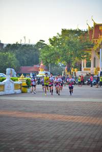 BIB: 
                            <button type="button" onclick="openModal(6512864)" class="btn btn-primary btn-sm float-right btn-popup" data-toggle="modal" data-target=".modal-high-quality">
                        <i class="fas fa-shopping-cart"></i> Add to Cart
                    </button>
                                            <button type="button" onclick="isThisMe(6512864, true)" class="btn btn-success btn-sm float-right btn-popup btn-isme hidden" data-toggle="tooltip" data-placement="bottom" title="นี่คือรูปของคุณใช่ไหม คลิกที่นี่เพื่อเอาเข้าอัลบั้ม">
                        <i class="fas fa-plus"></i> Add to album
                    </button>
                    <button type="button" onclick="isThisMe(6512864, false)" class="btn btn-warning btn-sm float-right btn-popup btn-isnotme hidden">
                        <i class="fas fa-ban"></i> Remove from album
                    </button>