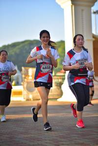 BIB: 485, 4858, 7955
                            <button type="button" onclick="openModal(6508016)" class="btn btn-primary btn-sm float-right btn-popup" data-toggle="modal" data-target=".modal-high-quality">
                        <i class="fas fa-shopping-cart"></i> Add to Cart
                    </button>
                                            <button type="button" onclick="isThisMe(6508016, true)" class="btn btn-success btn-sm float-right btn-popup btn-isme hidden" data-toggle="tooltip" data-placement="bottom" title="นี่คือรูปของคุณใช่ไหม คลิกที่นี่เพื่อเอาเข้าอัลบั้ม">
                        <i class="fas fa-plus"></i> Add to album
                    </button>
                    <button type="button" onclick="isThisMe(6508016, false)" class="btn btn-warning btn-sm float-right btn-popup btn-isnotme hidden">
                        <i class="fas fa-ban"></i> Remove from album
                    </button>