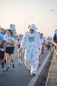 BIB: 6125, 7167
                            <button type="button" onclick="openModal(6472842)" class="btn btn-primary btn-sm float-right btn-popup" data-toggle="modal" data-target=".modal-high-quality">
                        <i class="fas fa-shopping-cart"></i> Add to Cart
                    </button>
                                            <button type="button" onclick="isThisMe(6472842, true)" class="btn btn-success btn-sm float-right btn-popup btn-isme hidden" data-toggle="tooltip" data-placement="bottom" title="นี่คือรูปของคุณใช่ไหม คลิกที่นี่เพื่อเอาเข้าอัลบั้ม">
                        <i class="fas fa-plus"></i> Add to album
                    </button>
                    <button type="button" onclick="isThisMe(6472842, false)" class="btn btn-warning btn-sm float-right btn-popup btn-isnotme hidden">
                        <i class="fas fa-ban"></i> Remove from album
                    </button>