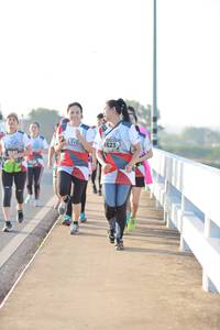 BIB: 6523, 2101
                            <button type="button" onclick="openModal(6474816)" class="btn btn-primary btn-sm float-right btn-popup" data-toggle="modal" data-target=".modal-high-quality">
                        <i class="fas fa-shopping-cart"></i> Add to Cart
                    </button>
                                            <button type="button" onclick="isThisMe(6474816, true)" class="btn btn-success btn-sm float-right btn-popup btn-isme hidden" data-toggle="tooltip" data-placement="bottom" title="นี่คือรูปของคุณใช่ไหม คลิกที่นี่เพื่อเอาเข้าอัลบั้ม">
                        <i class="fas fa-plus"></i> Add to album
                    </button>
                    <button type="button" onclick="isThisMe(6474816, false)" class="btn btn-warning btn-sm float-right btn-popup btn-isnotme hidden">
                        <i class="fas fa-ban"></i> Remove from album
                    </button>