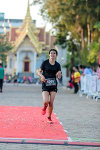 BIB: 3065
                            <button type="button" onclick="openModal(6526382)" class="btn btn-primary btn-sm float-right btn-popup" data-toggle="modal" data-target=".modal-high-quality">
                        <i class="fas fa-shopping-cart"></i> Add to Cart
                    </button>
                                            <button type="button" onclick="isThisMe(6526382, true)" class="btn btn-success btn-sm float-right btn-popup btn-isme hidden" data-toggle="tooltip" data-placement="bottom" title="นี่คือรูปของคุณใช่ไหม คลิกที่นี่เพื่อเอาเข้าอัลบั้ม">
                        <i class="fas fa-plus"></i> Add to album
                    </button>
                    <button type="button" onclick="isThisMe(6526382, false)" class="btn btn-warning btn-sm float-right btn-popup btn-isnotme hidden">
                        <i class="fas fa-ban"></i> Remove from album
                    </button>