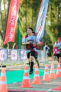 BIB: 
                            <button type="button" onclick="openModal(6552358)" class="btn btn-primary btn-sm float-right btn-popup" data-toggle="modal" data-target=".modal-high-quality">
                        <i class="fas fa-shopping-cart"></i> Add to Cart
                    </button>
                                            <button type="button" onclick="isThisMe(6552358, true)" class="btn btn-success btn-sm float-right btn-popup btn-isme hidden" data-toggle="tooltip" data-placement="bottom" title="นี่คือรูปของคุณใช่ไหม คลิกที่นี่เพื่อเอาเข้าอัลบั้ม">
                        <i class="fas fa-plus"></i> Add to album
                    </button>
                    <button type="button" onclick="isThisMe(6552358, false)" class="btn btn-warning btn-sm float-right btn-popup btn-isnotme hidden">
                        <i class="fas fa-ban"></i> Remove from album
                    </button>