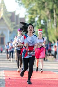 BIB: 3883
                            <button type="button" onclick="openModal(6559868)" class="btn btn-primary btn-sm float-right btn-popup" data-toggle="modal" data-target=".modal-high-quality">
                        <i class="fas fa-shopping-cart"></i> Add to Cart
                    </button>
                                            <button type="button" onclick="isThisMe(6559868, true)" class="btn btn-success btn-sm float-right btn-popup btn-isme hidden" data-toggle="tooltip" data-placement="bottom" title="นี่คือรูปของคุณใช่ไหม คลิกที่นี่เพื่อเอาเข้าอัลบั้ม">
                        <i class="fas fa-plus"></i> Add to album
                    </button>
                    <button type="button" onclick="isThisMe(6559868, false)" class="btn btn-warning btn-sm float-right btn-popup btn-isnotme hidden">
                        <i class="fas fa-ban"></i> Remove from album
                    </button>