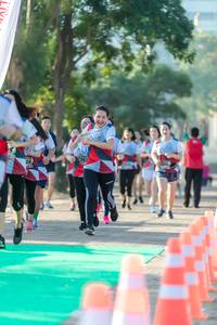 BIB: 
                            <button type="button" onclick="openModal(6560860)" class="btn btn-primary btn-sm float-right btn-popup" data-toggle="modal" data-target=".modal-high-quality">
                        <i class="fas fa-shopping-cart"></i> Add to Cart
                    </button>
                                            <button type="button" onclick="isThisMe(6560860, true)" class="btn btn-success btn-sm float-right btn-popup btn-isme hidden" data-toggle="tooltip" data-placement="bottom" title="นี่คือรูปของคุณใช่ไหม คลิกที่นี่เพื่อเอาเข้าอัลบั้ม">
                        <i class="fas fa-plus"></i> Add to album
                    </button>
                    <button type="button" onclick="isThisMe(6560860, false)" class="btn btn-warning btn-sm float-right btn-popup btn-isnotme hidden">
                        <i class="fas fa-ban"></i> Remove from album
                    </button>