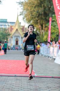 BIB: 3065
                            <button type="button" onclick="openModal(6526399)" class="btn btn-primary btn-sm float-right btn-popup" data-toggle="modal" data-target=".modal-high-quality">
                        <i class="fas fa-shopping-cart"></i> Add to Cart
                    </button>
                                            <button type="button" onclick="isThisMe(6526399, true)" class="btn btn-success btn-sm float-right btn-popup btn-isme hidden" data-toggle="tooltip" data-placement="bottom" title="นี่คือรูปของคุณใช่ไหม คลิกที่นี่เพื่อเอาเข้าอัลบั้ม">
                        <i class="fas fa-plus"></i> Add to album
                    </button>
                    <button type="button" onclick="isThisMe(6526399, false)" class="btn btn-warning btn-sm float-right btn-popup btn-isnotme hidden">
                        <i class="fas fa-ban"></i> Remove from album
                    </button>