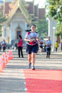 BIB: 
                            <button type="button" onclick="openModal(6562337)" class="btn btn-primary btn-sm float-right btn-popup" data-toggle="modal" data-target=".modal-high-quality">
                        <i class="fas fa-shopping-cart"></i> Add to Cart
                    </button>
                                            <button type="button" onclick="isThisMe(6562337, true)" class="btn btn-success btn-sm float-right btn-popup btn-isme hidden" data-toggle="tooltip" data-placement="bottom" title="นี่คือรูปของคุณใช่ไหม คลิกที่นี่เพื่อเอาเข้าอัลบั้ม">
                        <i class="fas fa-plus"></i> Add to album
                    </button>
                    <button type="button" onclick="isThisMe(6562337, false)" class="btn btn-warning btn-sm float-right btn-popup btn-isnotme hidden">
                        <i class="fas fa-ban"></i> Remove from album
                    </button>