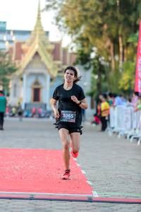 BIB: 3065
                            <button type="button" onclick="openModal(6526386)" class="btn btn-primary btn-sm float-right btn-popup" data-toggle="modal" data-target=".modal-high-quality">
                        <i class="fas fa-shopping-cart"></i> Add to Cart
                    </button>
                                            <button type="button" onclick="isThisMe(6526386, true)" class="btn btn-success btn-sm float-right btn-popup btn-isme hidden" data-toggle="tooltip" data-placement="bottom" title="นี่คือรูปของคุณใช่ไหม คลิกที่นี่เพื่อเอาเข้าอัลบั้ม">
                        <i class="fas fa-plus"></i> Add to album
                    </button>
                    <button type="button" onclick="isThisMe(6526386, false)" class="btn btn-warning btn-sm float-right btn-popup btn-isnotme hidden">
                        <i class="fas fa-ban"></i> Remove from album
                    </button>