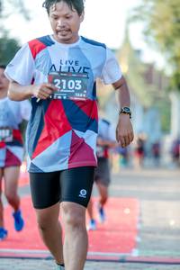 BIB: 2103, 128
                            <button type="button" onclick="openModal(6547395)" class="btn btn-primary btn-sm float-right btn-popup" data-toggle="modal" data-target=".modal-high-quality">
                        <i class="fas fa-shopping-cart"></i> Add to Cart
                    </button>
                                            <button type="button" onclick="isThisMe(6547395, true)" class="btn btn-success btn-sm float-right btn-popup btn-isme hidden" data-toggle="tooltip" data-placement="bottom" title="นี่คือรูปของคุณใช่ไหม คลิกที่นี่เพื่อเอาเข้าอัลบั้ม">
                        <i class="fas fa-plus"></i> Add to album
                    </button>
                    <button type="button" onclick="isThisMe(6547395, false)" class="btn btn-warning btn-sm float-right btn-popup btn-isnotme hidden">
                        <i class="fas fa-ban"></i> Remove from album
                    </button>