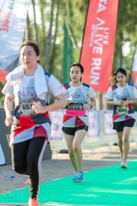 BIB: 
                            <button type="button" onclick="openModal(6560009)" class="btn btn-primary btn-sm float-right btn-popup" data-toggle="modal" data-target=".modal-high-quality">
                        <i class="fas fa-shopping-cart"></i> Add to Cart
                    </button>
                                            <button type="button" onclick="isThisMe(6560009, true)" class="btn btn-success btn-sm float-right btn-popup btn-isme hidden" data-toggle="tooltip" data-placement="bottom" title="นี่คือรูปของคุณใช่ไหม คลิกที่นี่เพื่อเอาเข้าอัลบั้ม">
                        <i class="fas fa-plus"></i> Add to album
                    </button>
                    <button type="button" onclick="isThisMe(6560009, false)" class="btn btn-warning btn-sm float-right btn-popup btn-isnotme hidden">
                        <i class="fas fa-ban"></i> Remove from album
                    </button>